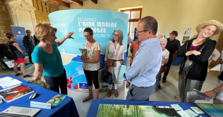 Loupian - Aire Marine Protégée de la lagune de Thau :  L'exposition participative itinérante du SMBT fait une halte à Loupian