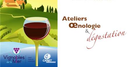 Canet en Roussillon - Partez à la découverte de nos 5 domaines viticoles canétois !