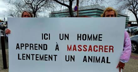 Béziers - S'entraîner à tuer un animal est inadmissible